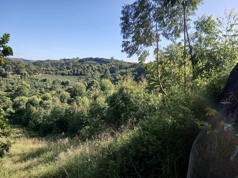 0 Bedroom Property for Sale in Ramsgate KwaZulu-Natal