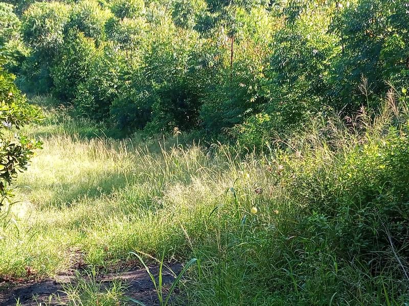 0 Bedroom Property for Sale in Ramsgate KwaZulu-Natal