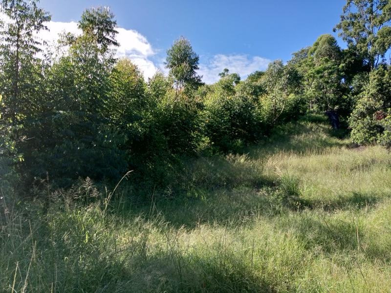 0 Bedroom Property for Sale in Ramsgate KwaZulu-Natal