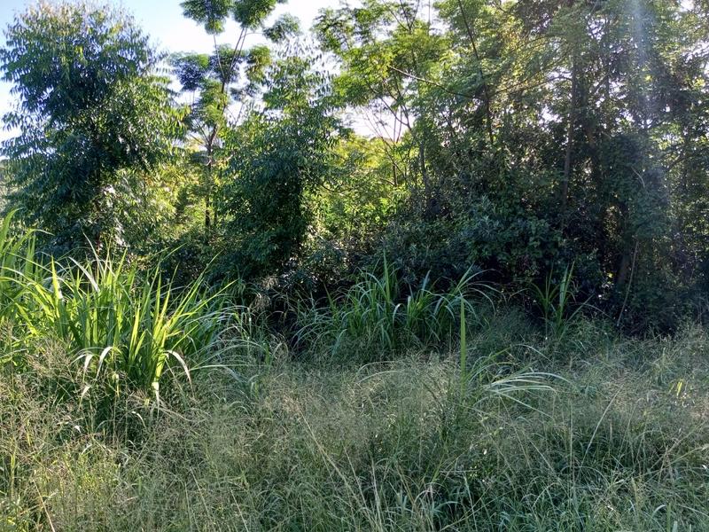 0 Bedroom Property for Sale in Ramsgate KwaZulu-Natal