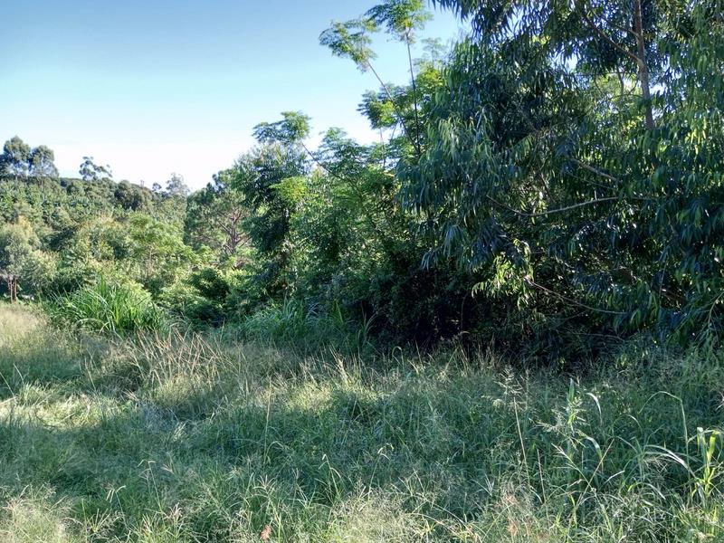 0 Bedroom Property for Sale in Ramsgate KwaZulu-Natal