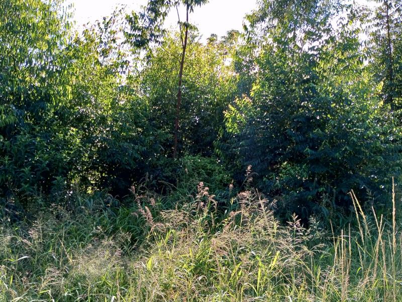 0 Bedroom Property for Sale in Ramsgate KwaZulu-Natal