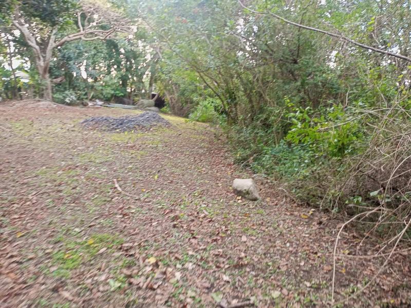 0 Bedroom Property for Sale in Ramsgate KwaZulu-Natal