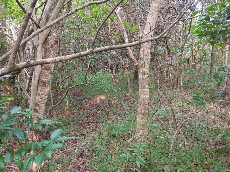 0 Bedroom Property for Sale in Ramsgate KwaZulu-Natal