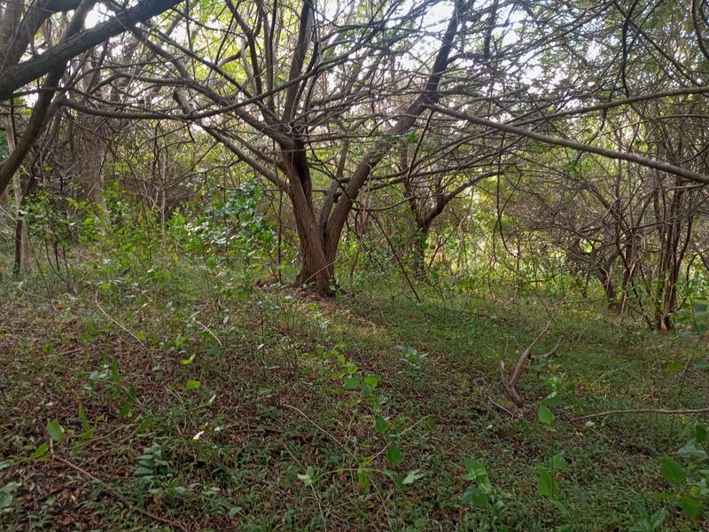 0 Bedroom Property for Sale in Ramsgate KwaZulu-Natal