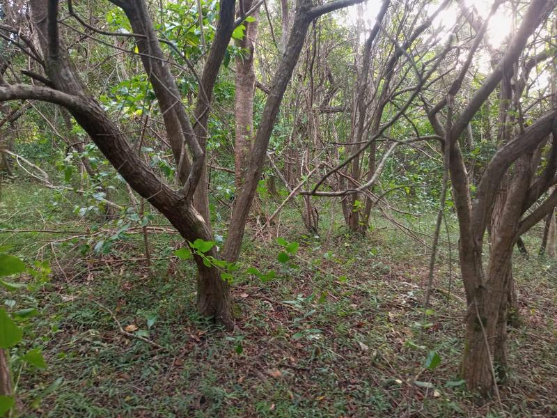 0 Bedroom Property for Sale in Ramsgate KwaZulu-Natal