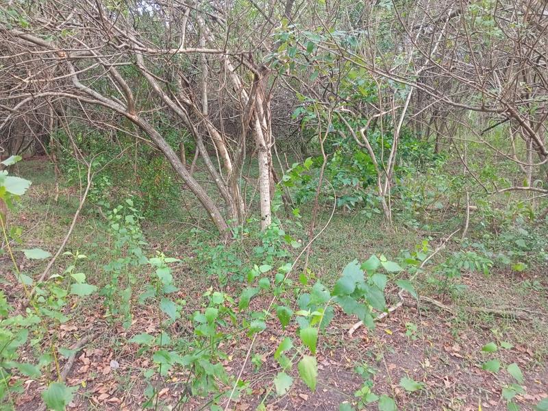 0 Bedroom Property for Sale in Ramsgate KwaZulu-Natal