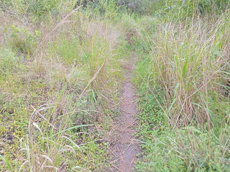 0 Bedroom Property for Sale in Ramsgate KwaZulu-Natal