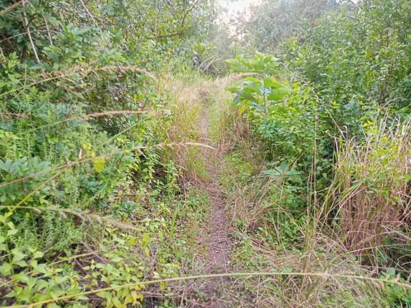 0 Bedroom Property for Sale in Ramsgate KwaZulu-Natal
