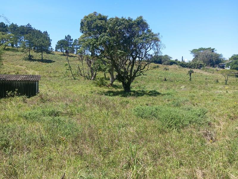 3 Bedroom Property for Sale in Port Edward KwaZulu-Natal