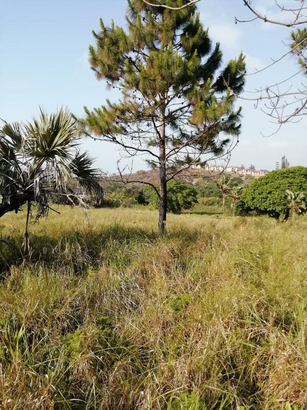 3 Bedroom Property for Sale in Port Edward KwaZulu-Natal