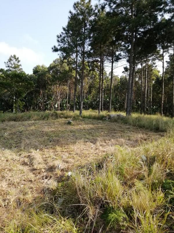 3 Bedroom Property for Sale in Port Edward KwaZulu-Natal