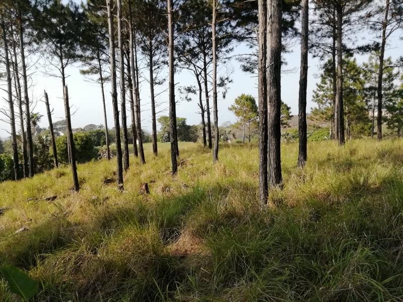 3 Bedroom Property for Sale in Port Edward KwaZulu-Natal