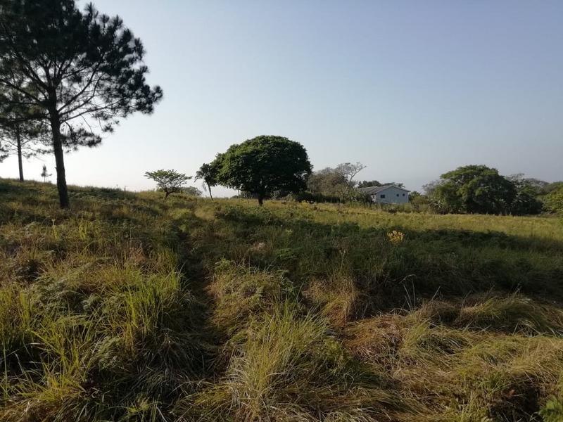 3 Bedroom Property for Sale in Port Edward KwaZulu-Natal