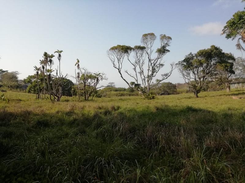 3 Bedroom Property for Sale in Port Edward KwaZulu-Natal