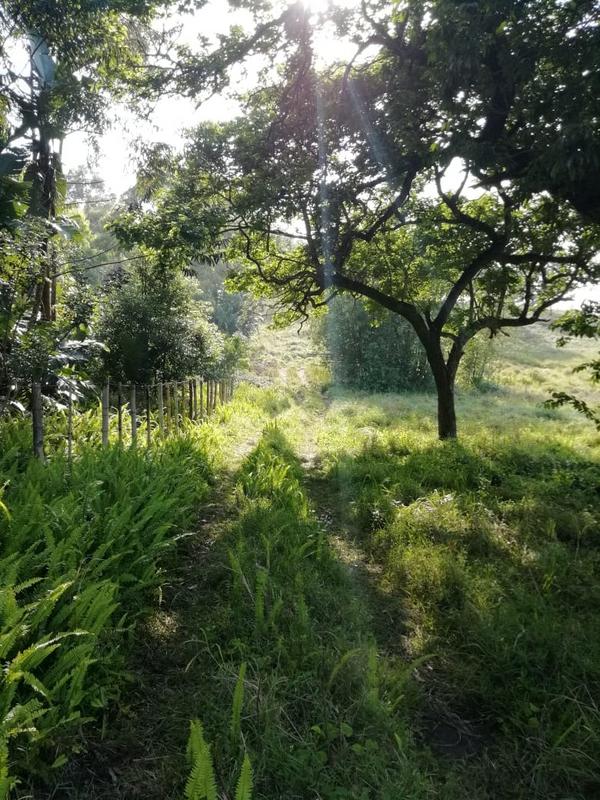 3 Bedroom Property for Sale in Port Edward KwaZulu-Natal