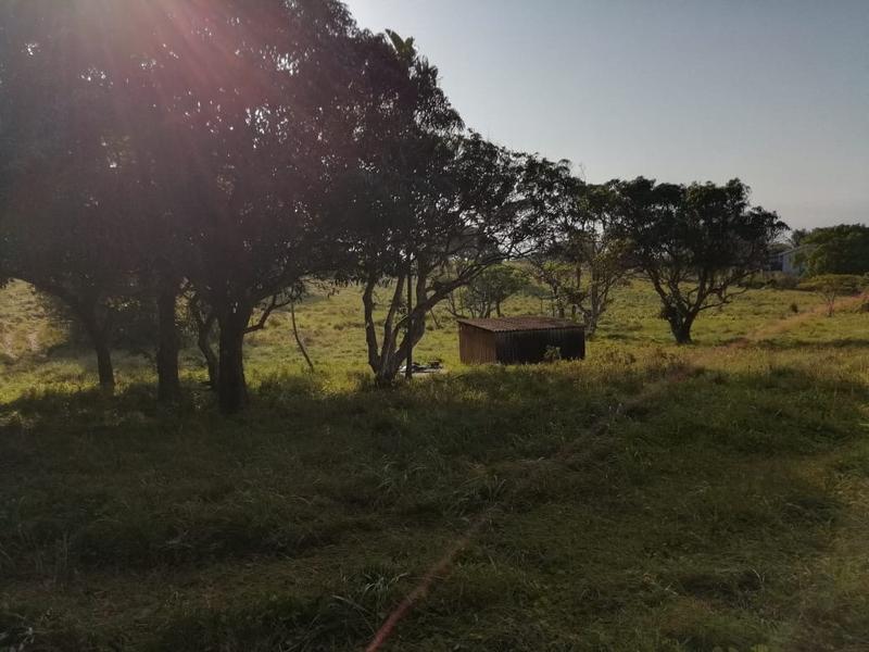 3 Bedroom Property for Sale in Port Edward KwaZulu-Natal