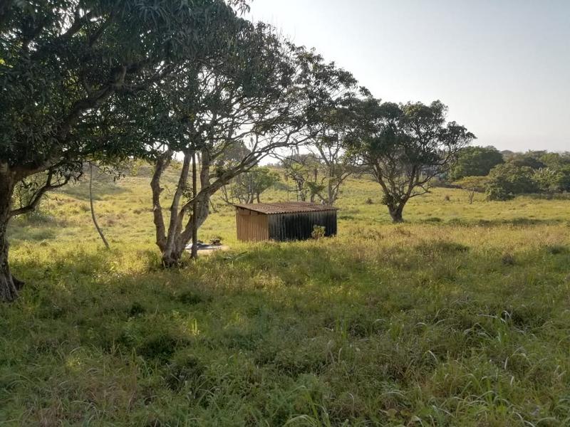 3 Bedroom Property for Sale in Port Edward KwaZulu-Natal