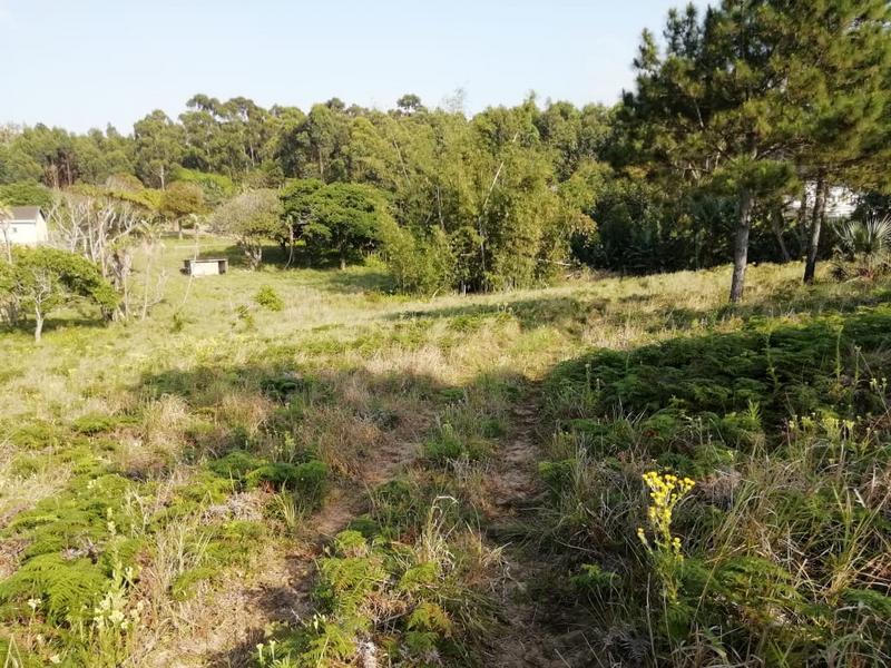 3 Bedroom Property for Sale in Port Edward KwaZulu-Natal