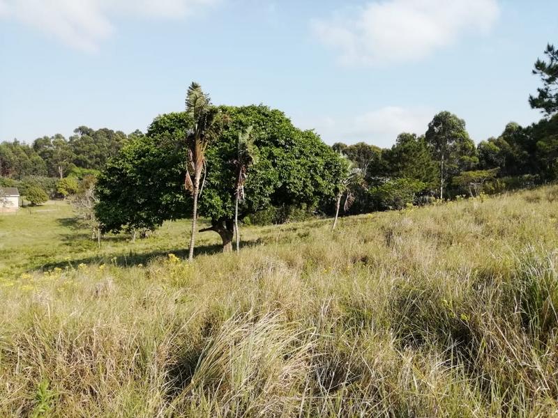 3 Bedroom Property for Sale in Port Edward KwaZulu-Natal