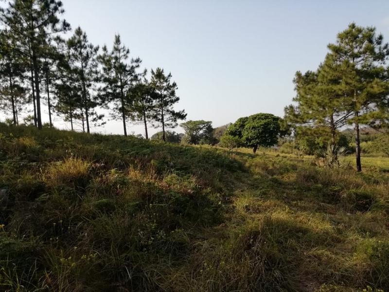 3 Bedroom Property for Sale in Port Edward KwaZulu-Natal