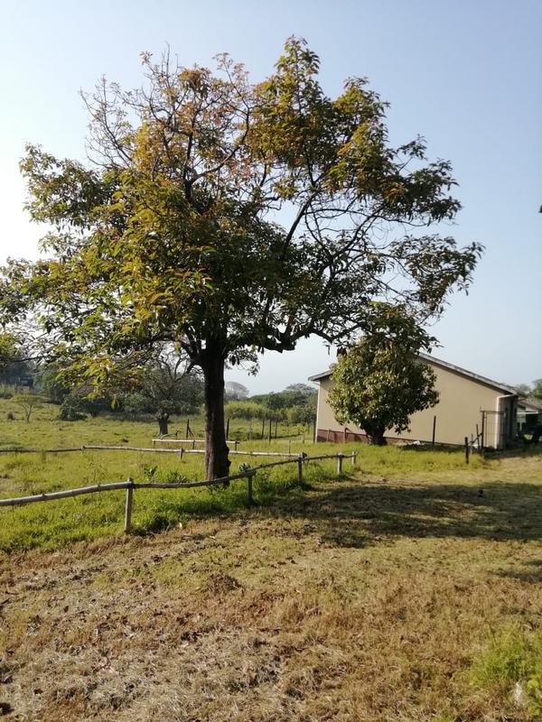 3 Bedroom Property for Sale in Port Edward KwaZulu-Natal