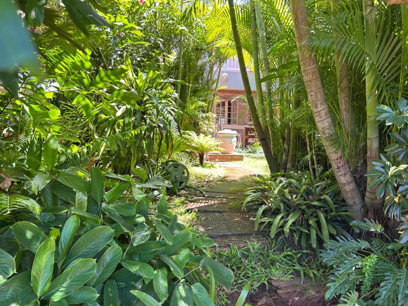 To Let 3 Bedroom Property for Rent in Mtunzini KwaZulu-Natal