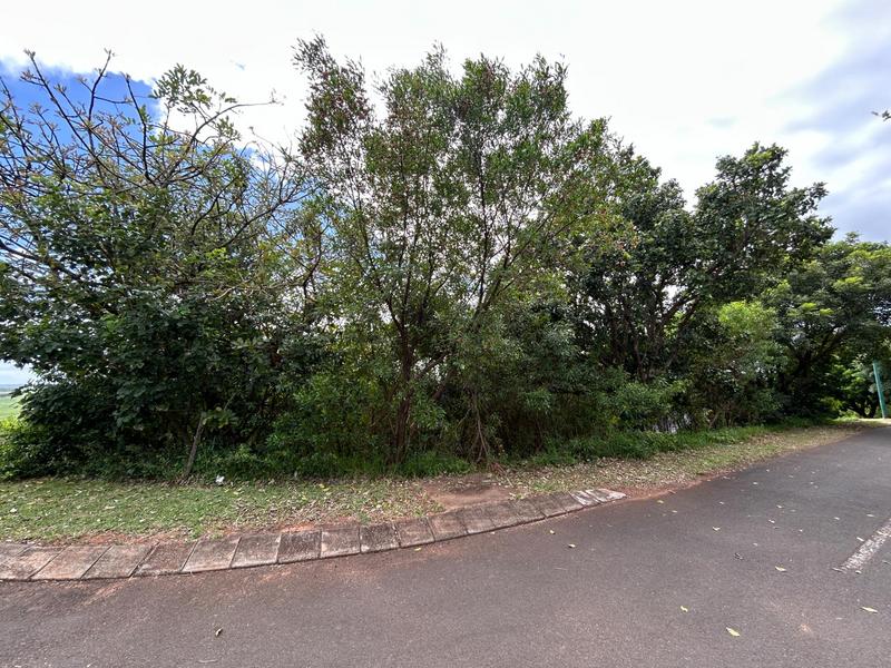 0 Bedroom Property for Sale in Zini River Estate KwaZulu-Natal