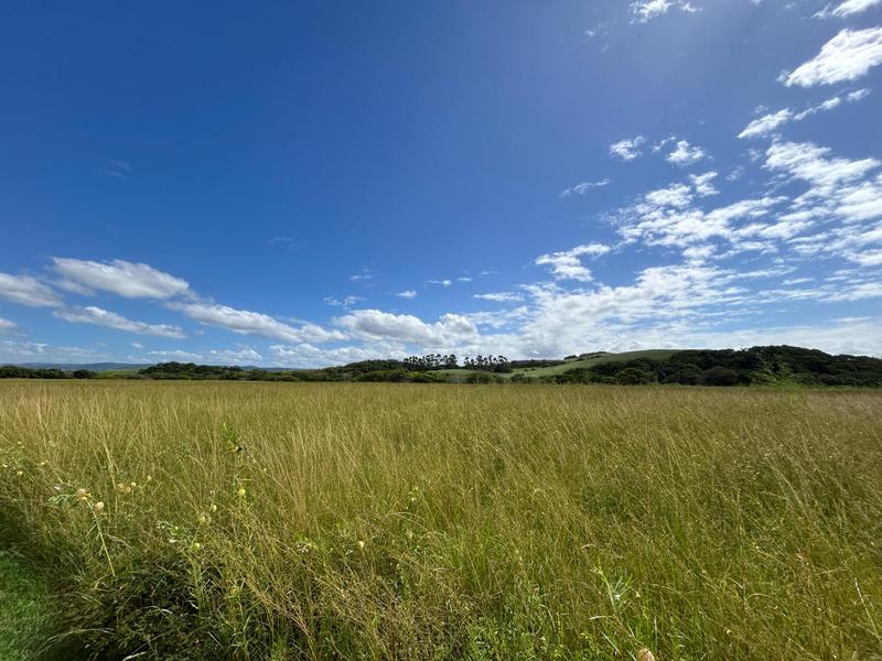 0 Bedroom Property for Sale in Zini River Estate KwaZulu-Natal