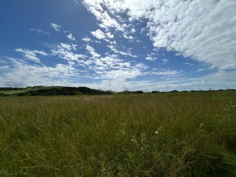 0 Bedroom Property for Sale in Zini River Estate KwaZulu-Natal