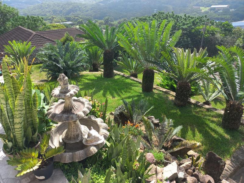 3 Bedroom Property for Sale in Carrington Heights KwaZulu-Natal