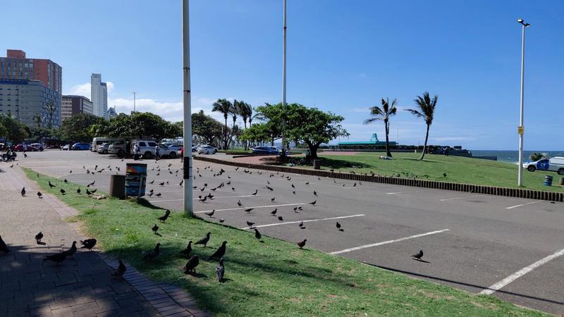 2 Bedroom Property for Sale in South Beach KwaZulu-Natal