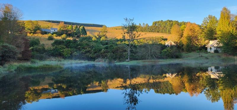 12 Bedroom Property for Sale in Dargle KwaZulu-Natal