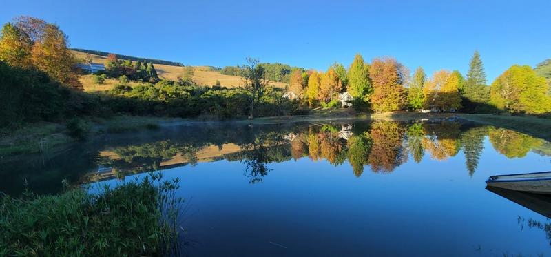 12 Bedroom Property for Sale in Dargle KwaZulu-Natal