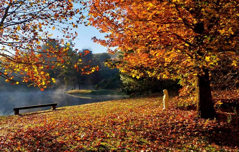 12 Bedroom Property for Sale in Dargle KwaZulu-Natal