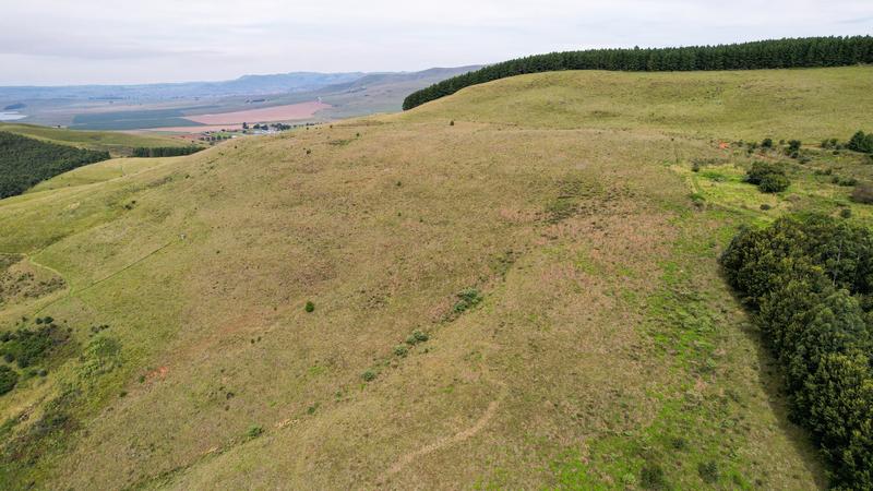 12 Bedroom Property for Sale in Dargle KwaZulu-Natal