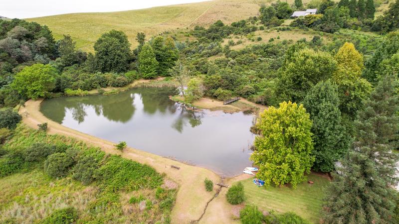 12 Bedroom Property for Sale in Dargle KwaZulu-Natal