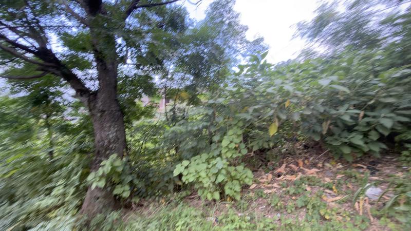 0 Bedroom Property for Sale in Clermont KwaZulu-Natal