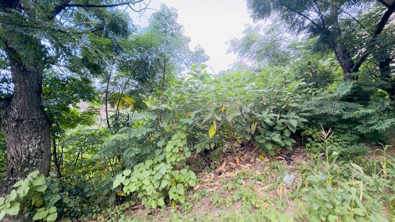 0 Bedroom Property for Sale in Clermont KwaZulu-Natal