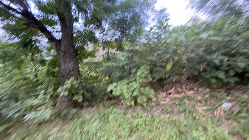 0 Bedroom Property for Sale in Clermont KwaZulu-Natal