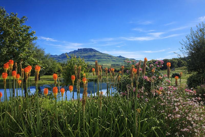 4 Bedroom Property for Sale in Underberg KwaZulu-Natal