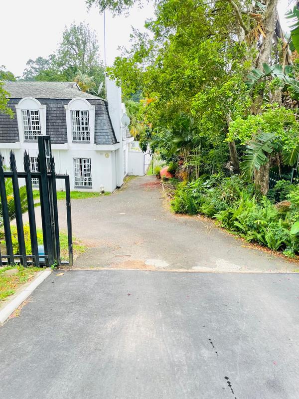 To Let 1 Bedroom Property for Rent in Westville KwaZulu-Natal