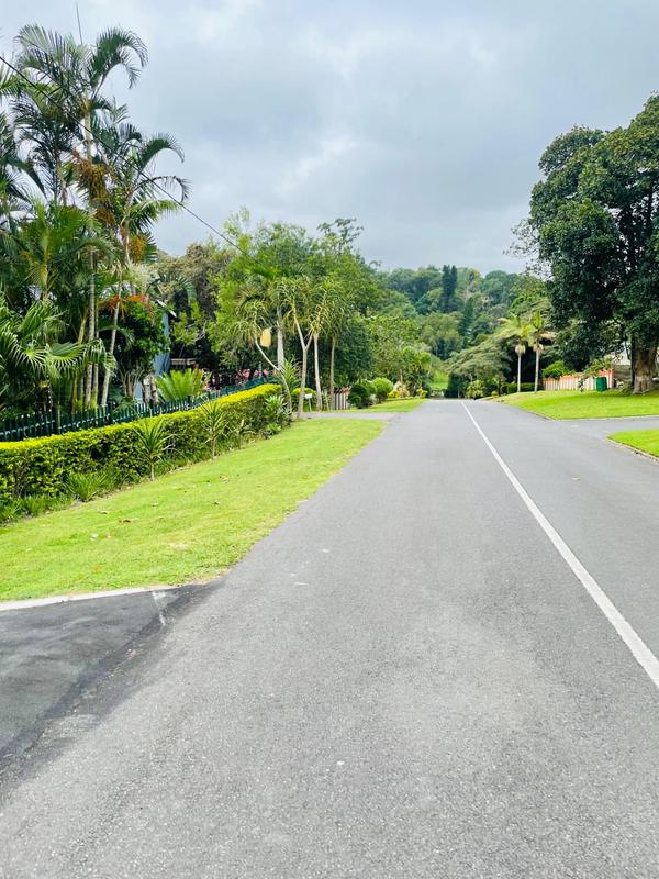 To Let 1 Bedroom Property for Rent in Westville KwaZulu-Natal