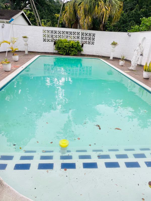 To Let 1 Bedroom Property for Rent in Westville KwaZulu-Natal