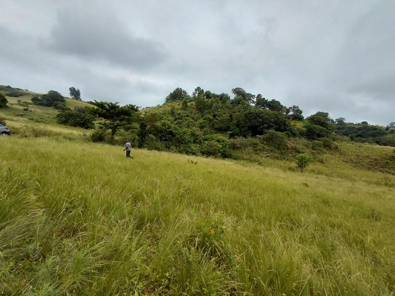 0 Bedroom Property for Sale in Umbumbulu KwaZulu-Natal