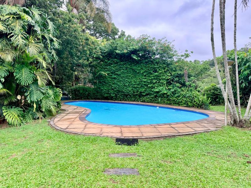 To Let 4 Bedroom Property for Rent in Westville KwaZulu-Natal