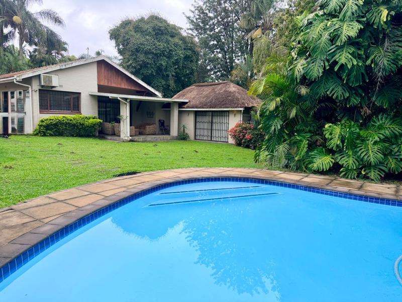 To Let 4 Bedroom Property for Rent in Westville KwaZulu-Natal