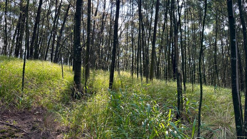 7 Bedroom Property for Sale in Mount Verde KwaZulu-Natal