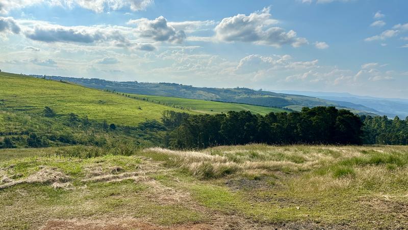 7 Bedroom Property for Sale in Mount Verde KwaZulu-Natal