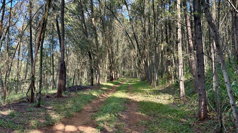 7 Bedroom Property for Sale in Mount Verde KwaZulu-Natal